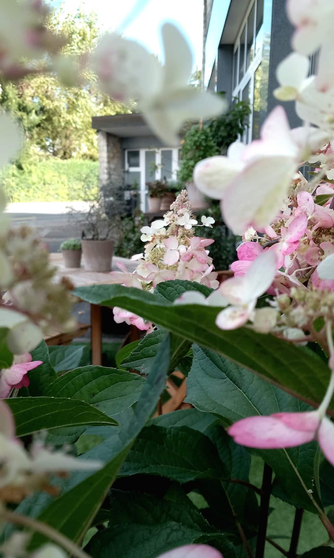 jolie vue sur la boutique avec des fleurs